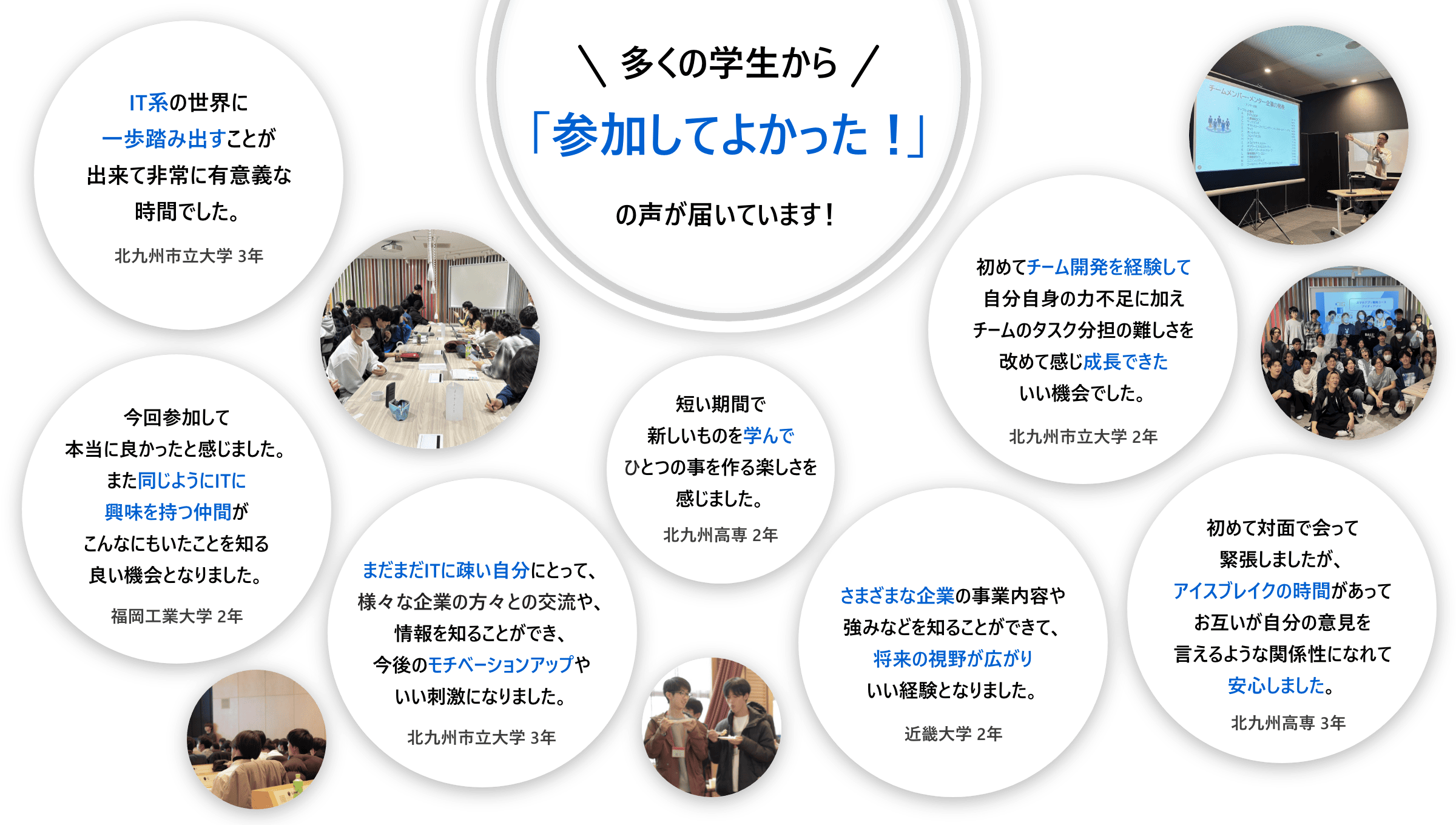 参加学生の声